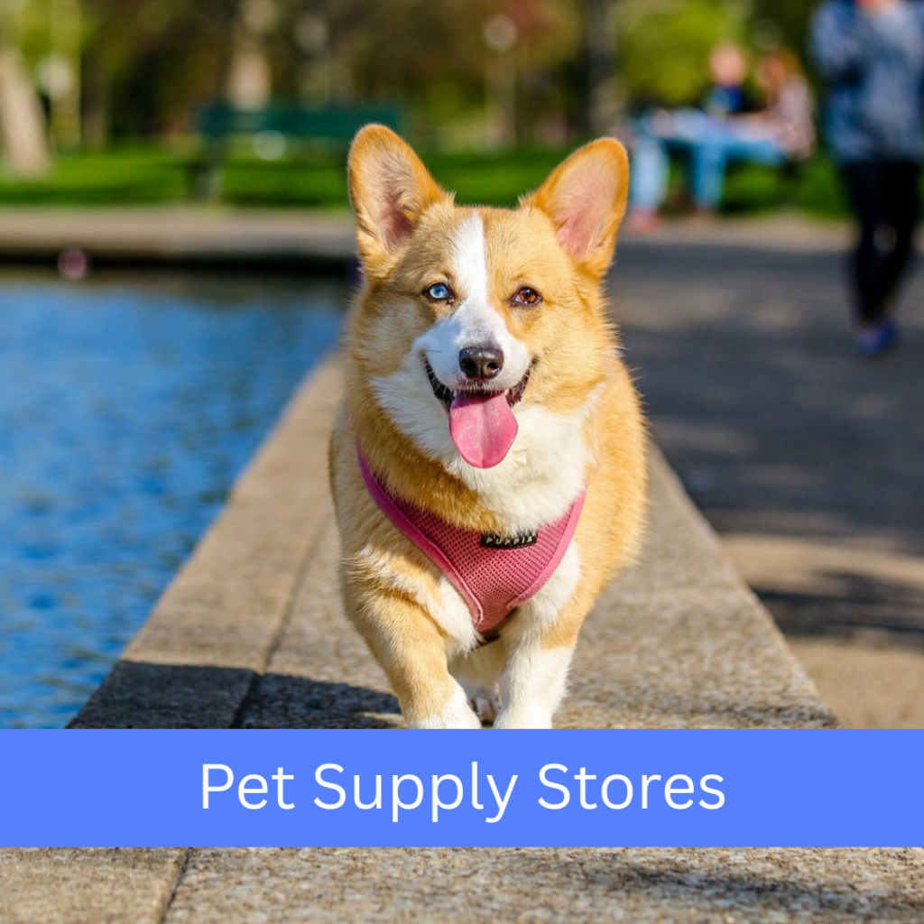 Pet Supply Stores - Retail Bookkeeping Service